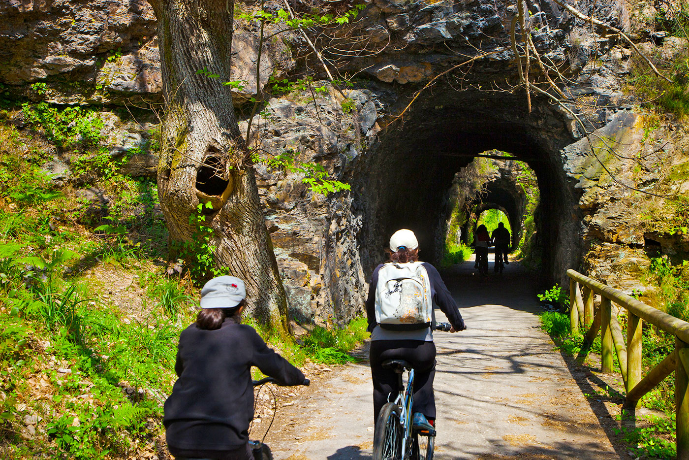 Btt en senda del oso
